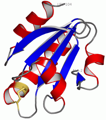 Image Asym./Biol. Unit - manually