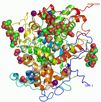 Image Asym./Biol. Unit - manually