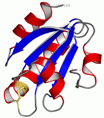 Image Asym./Biol. Unit - manually