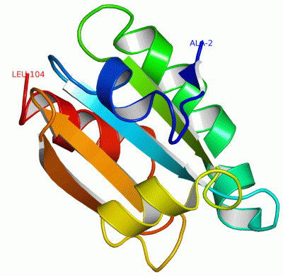 Image Asym./Biol. Unit - manually