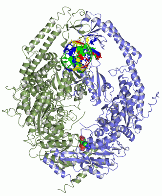 Image Asym./Biol. Unit - manually