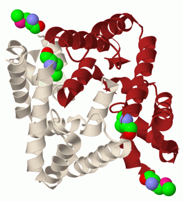 Image Biol.Unit 1 - manually