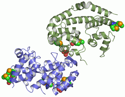 Image Asym.Unit - manually