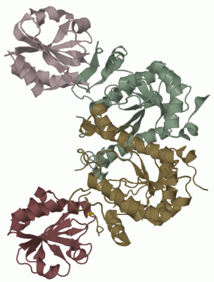 Image Biol.Unit 1 - manually