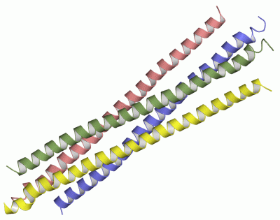 Image Asym./Biol. Unit - manually