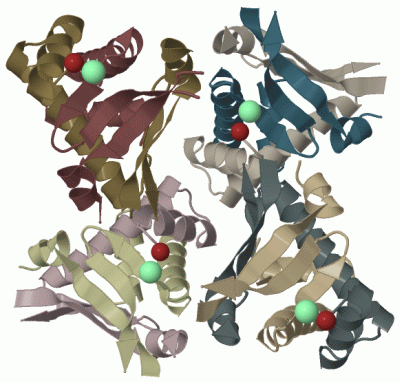 Image Biol.Unit 1 - manually