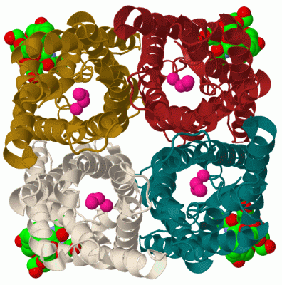 Image Biol.Unit 1 - manually
