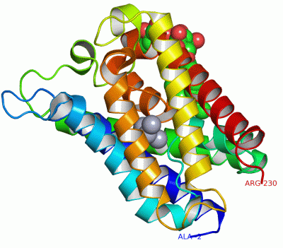 Image Asym.Unit - manually