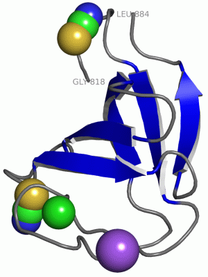 Image Asym./Biol. Unit - manually