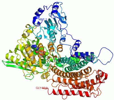 Image Asym./Biol. Unit - manually