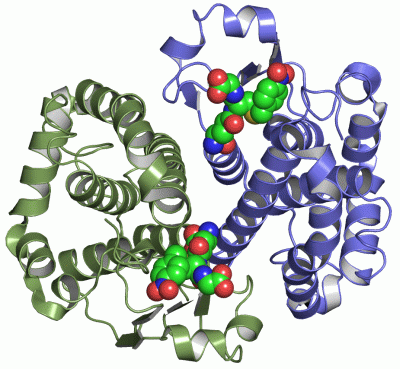 Image Asym./Biol. Unit - manually