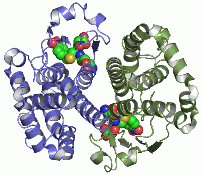 Image Asym./Biol. Unit - manually