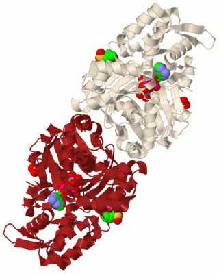 Image Biol.Unit 1 - manually