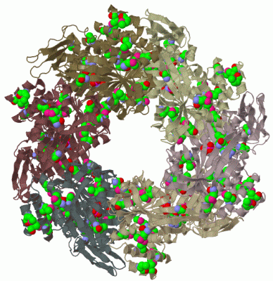 Image Biol.Unit 1 - manually