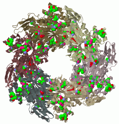 Image Biol.Unit 1 - manually