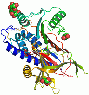 Image Asym./Biol. Unit - manually