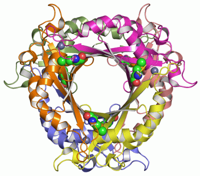 Image Asym./Biol. Unit - manually