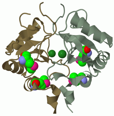 Image Biol.Unit 1 - manually