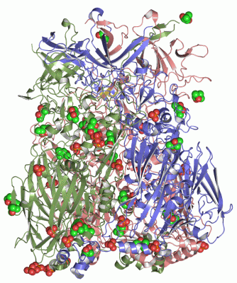 Image Asym./Biol. Unit - manually