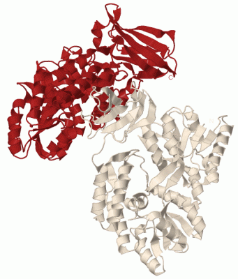 Image Biol.Unit 1 - manually