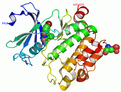 Image Asym./Biol. Unit - manually