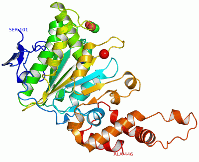 Image Asym./Biol. Unit - manually