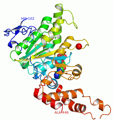 Image Asym./Biol. Unit - manually