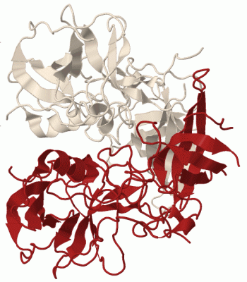 Image Biol.Unit 1 - manually