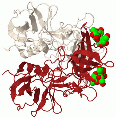 Image Biol.Unit 1 - manually