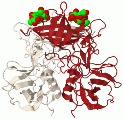 Image Biol.Unit 1 - manually