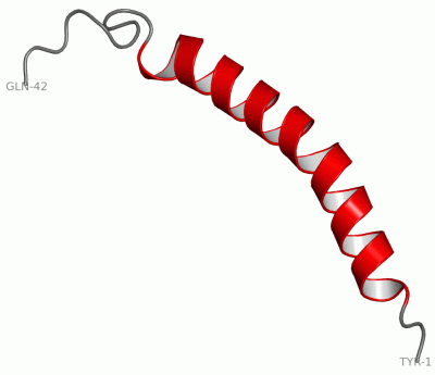 Image NMR Structure - manually