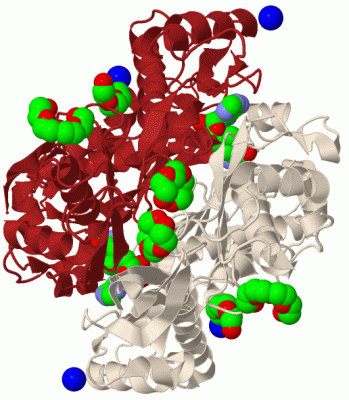 Image Biol.Unit 1 - manually