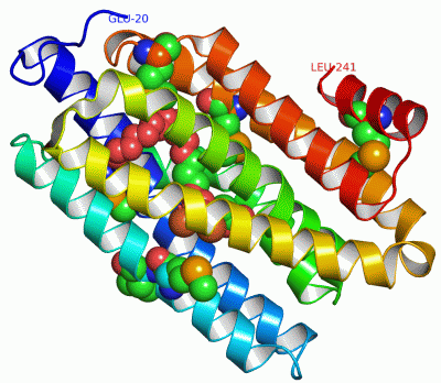 Image Asym./Biol. Unit - manually