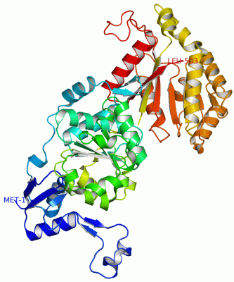 Image Asym./Biol. Unit - manually
