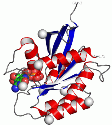 Image Asym./Biol. Unit - manually