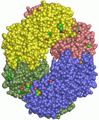 Image Asym./Biol. Unit - manually