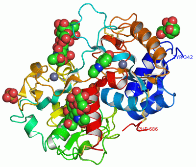 Image Asym./Biol. Unit - manually