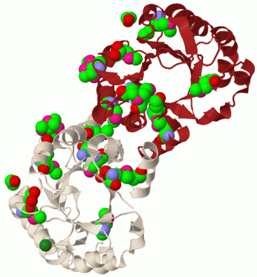 Image Biol.Unit 1 - manually