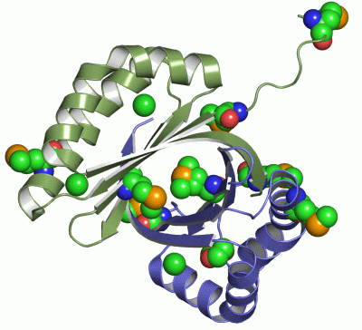 Image Asym./Biol. Unit - manually