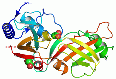 Image Asym./Biol. Unit - manually