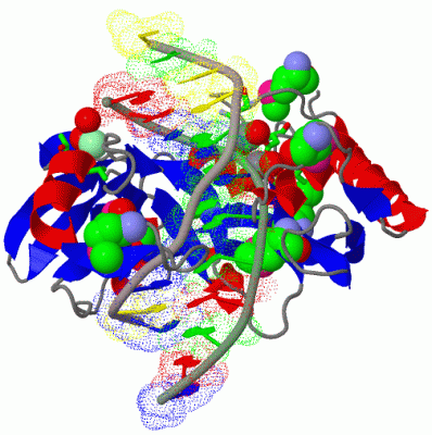 Image Biol.Unit 1 - manually