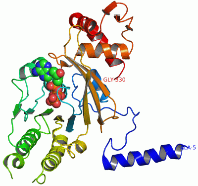 Image Asym./Biol. Unit - manually