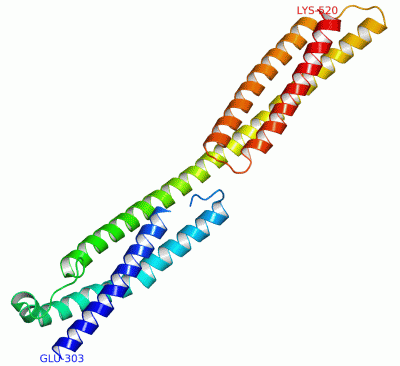 Image Asym./Biol. Unit - manually