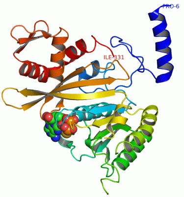 Image Asym./Biol. Unit - manually