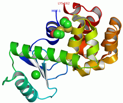 Image Asym./Biol. Unit - manually