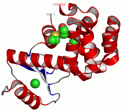 Image Asym./Biol. Unit - manually