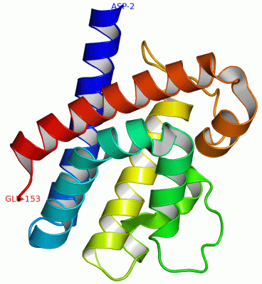 Image Asym./Biol. Unit - manually