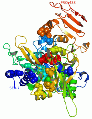 Image Asym./Biol. Unit - manually