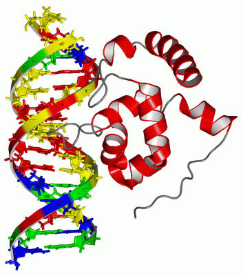 Image NMR Structure - manually