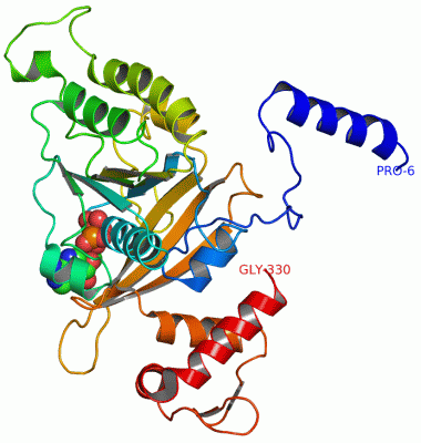 Image Asym./Biol. Unit - manually